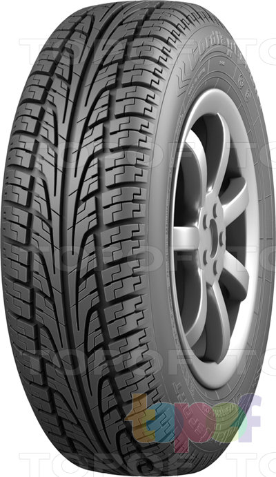 Шины Cordiant Sport ракурс #2