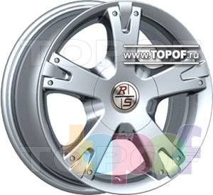 RS 5025