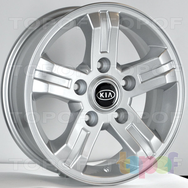 RS 503